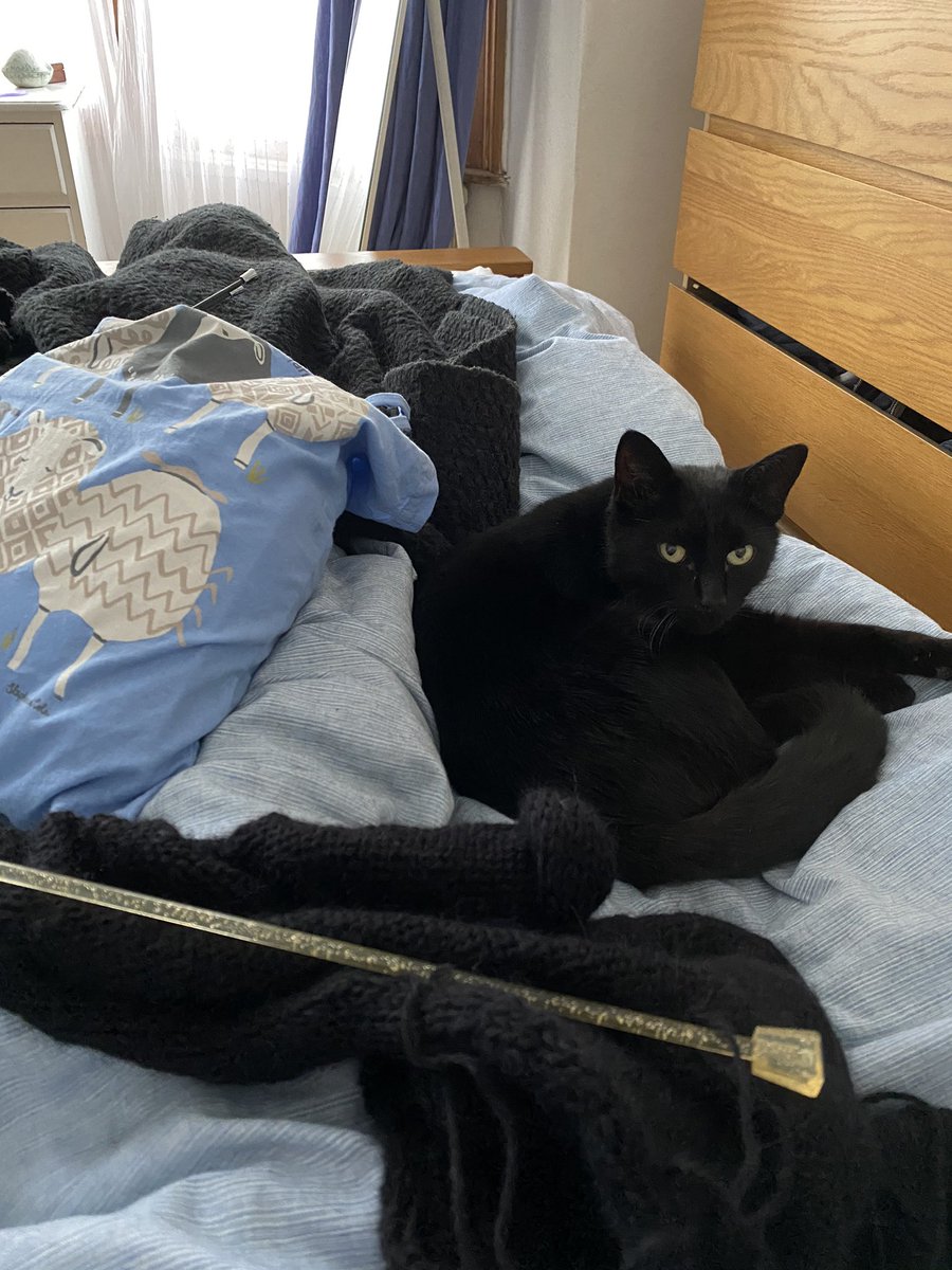 shazknit's tweet photo. Taking inspiration from John &amp; Yoko today. Me and the boy cat having our own bed-in #springforward #knitin https://t.co/bJFca3wRUs