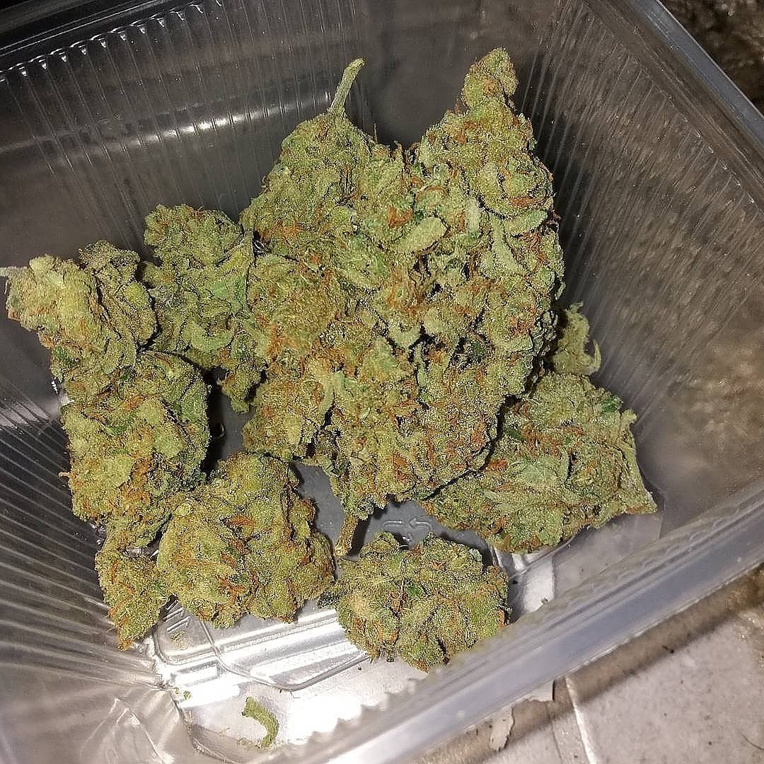 WilsonPlug's tweet image. contacter sur :/+ 33 6 44 67 88 22
Wickr:beuhfr12
Snapchat/wilson_brayan20
que de la bonne
#ParisWeed #fanceweed #france # weedparis #joint #weed # weedFrance #paris # weedinfrance #parisweeding# cannabis #hightimes #marijuanafrance #franceweedsmokers # hôtelParis #tourismeparis
