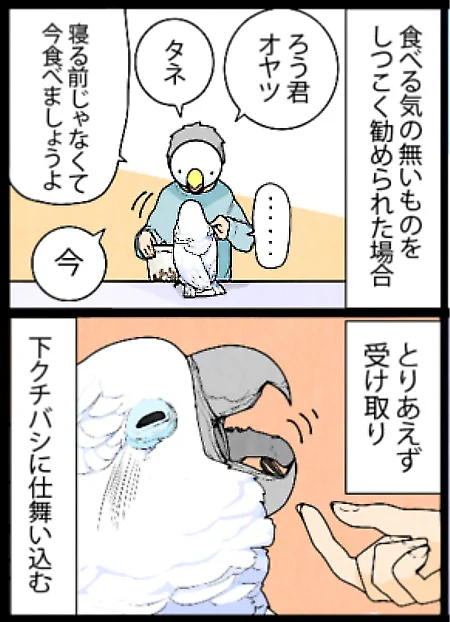 オウムも気を使っているのです。#漫画 #いたずらオウムの生活雑記2019 