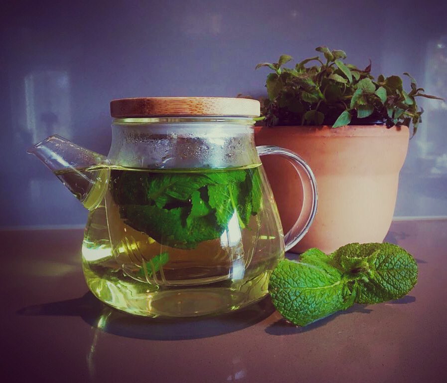 OlDaip's tweet photo. We houden hem er in; 15.00 uur theetijd. Thee van Bergamot en appelmunt. Bergamot is al lange tijd een goed alternatief voor de bekende theeplant. Een must-have voor in je theeborder
 https://t.co/p4CbxHfArm.  #theetijd #kruidenthee #kwekerij #foodie #teatime #gezondeten https://t.co/JQiYZ5LefU