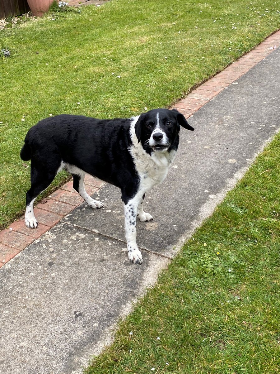 Little Mead Primary tweet media