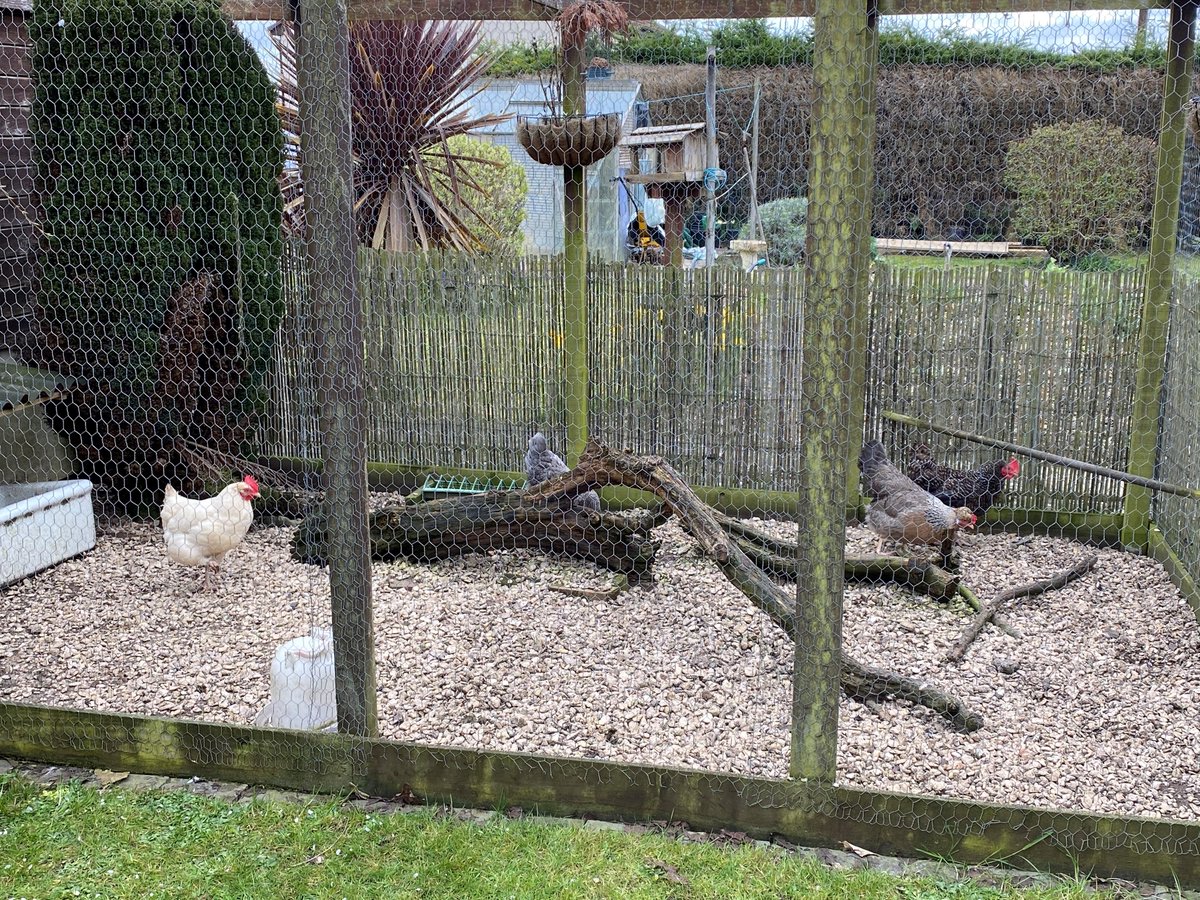 Little Mead Primary LittleMeadP Twitter Profile Sotwe