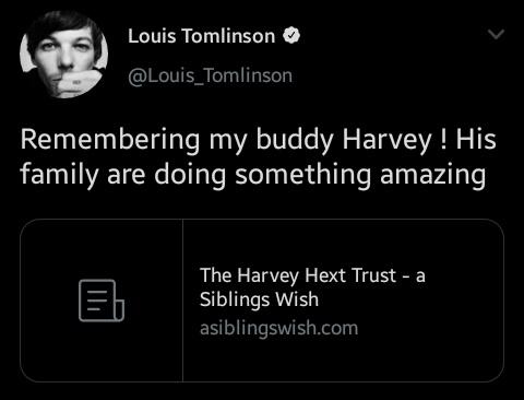 bea on Twitter: "3.) Louis is a Supporter of A Siblings Wish, Which  Provides Memory Boxes to Children Who Have Lost a Sibling #WeLoveLouis…  https://t.co/hgIImcQfNR"