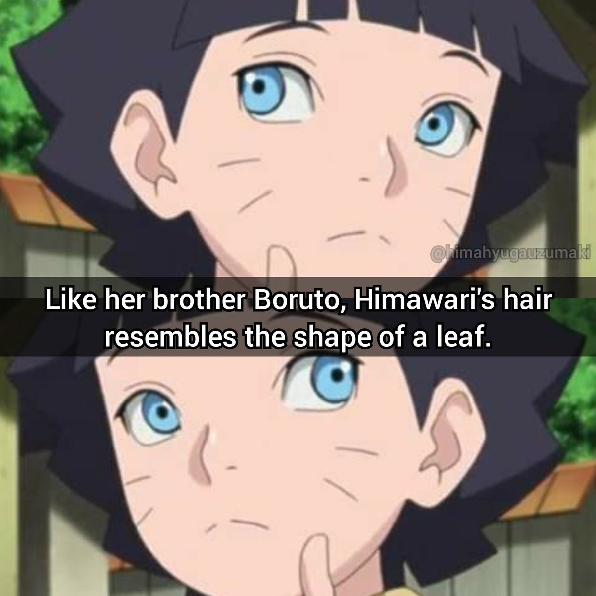 Himawari Uzumaki うずまきヒマワリ Trivia Himawari Sunflower