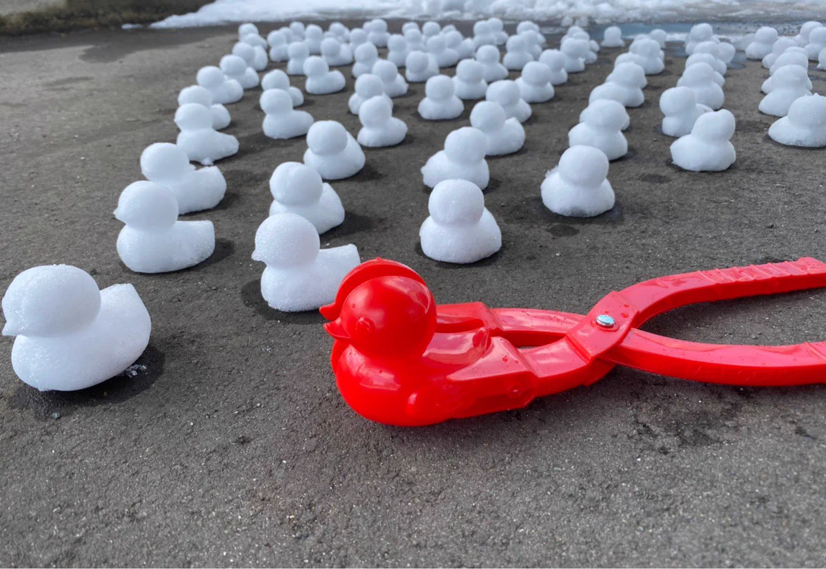 雪だるまならぬ雪あひる！大量に君臨！
