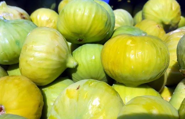 Arkadaşlar bu meyvenin adı yemiş.Mutlular bu meyve için kurşun atıp kurşun yemez. Adam gibi giderler Toplucaya varsa bahçeleri toplarlar yoksa Pazar’dan alırlar