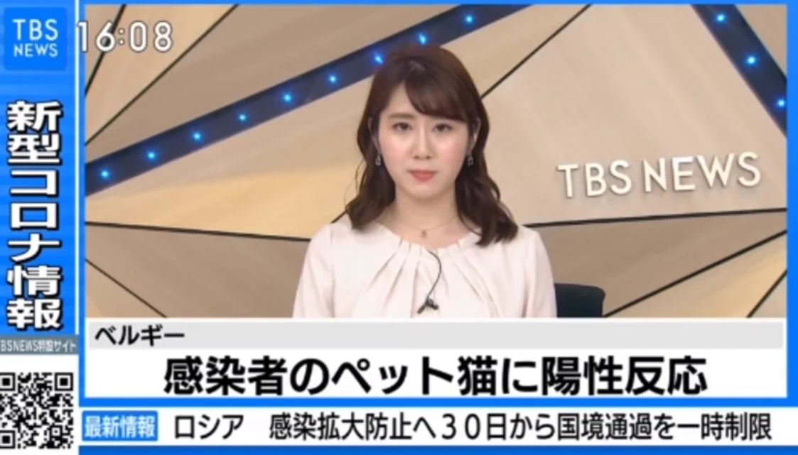コレ本当に？！感染者のペットのネコに陽性反応が出た。下痢や嘔吐、呼吸困難の症状。