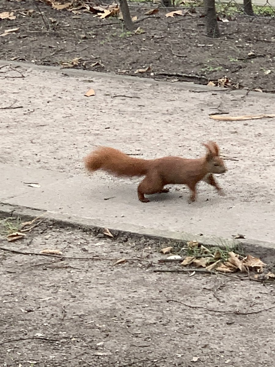 Pascal Guckt Jemand Schnell Weg Hier