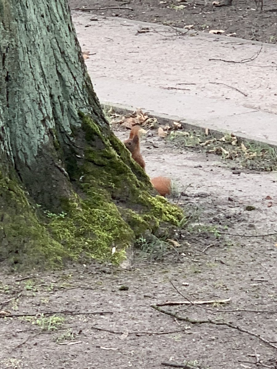 Pascal Guckt Jemand Schnell Weg Hier
