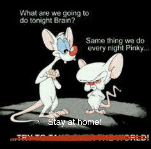 Janet Worley (@janetpworley) on Twitter photo 