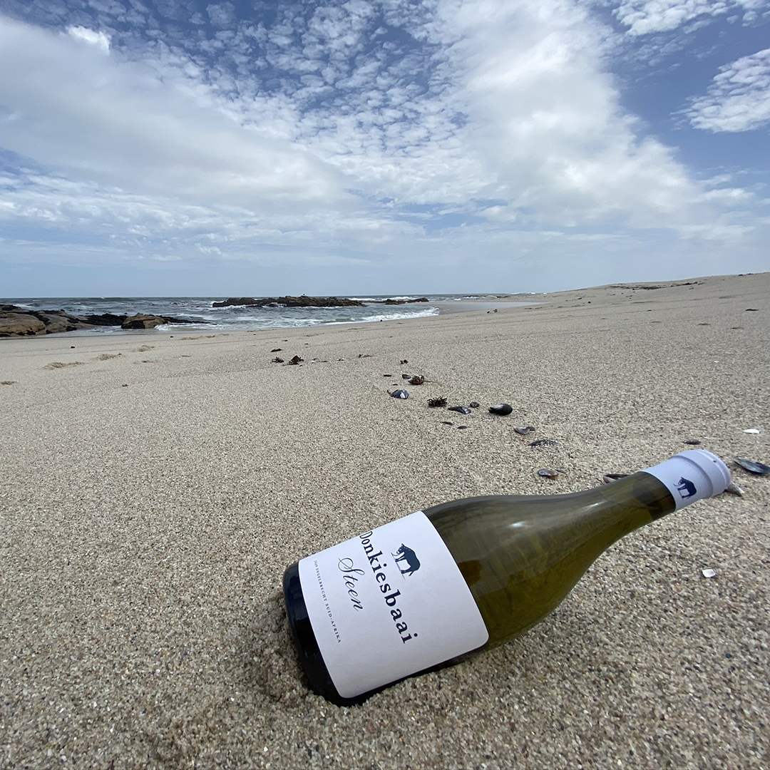 Isolated Steen. #sawinelockdown