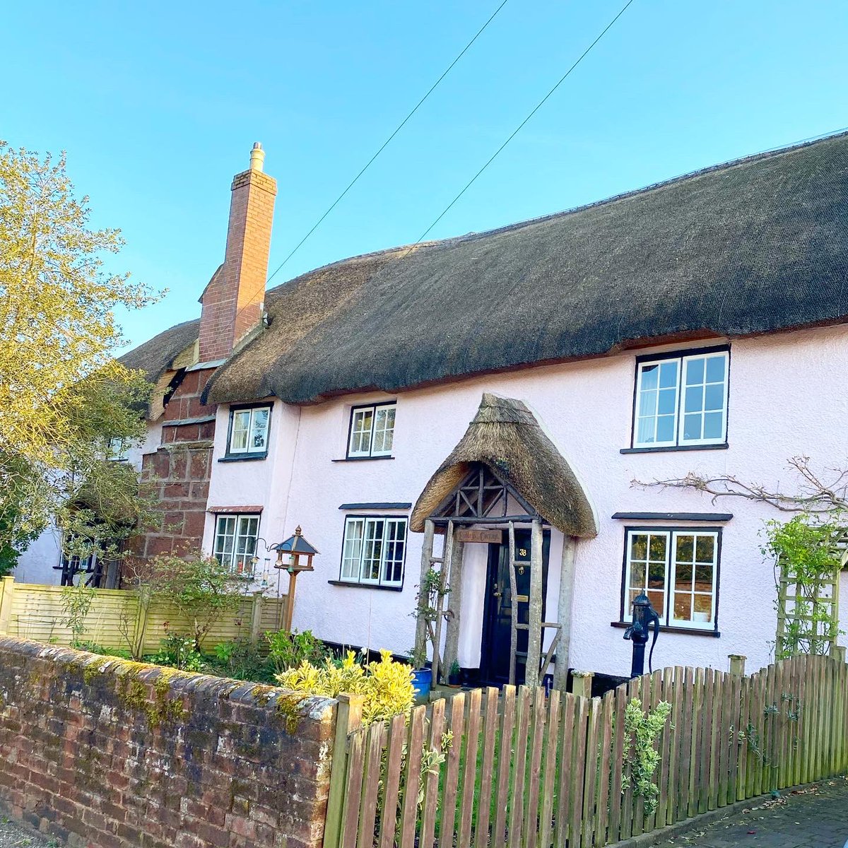 Wondering close to home in #Devon found these little treasures 
First one felt apt..