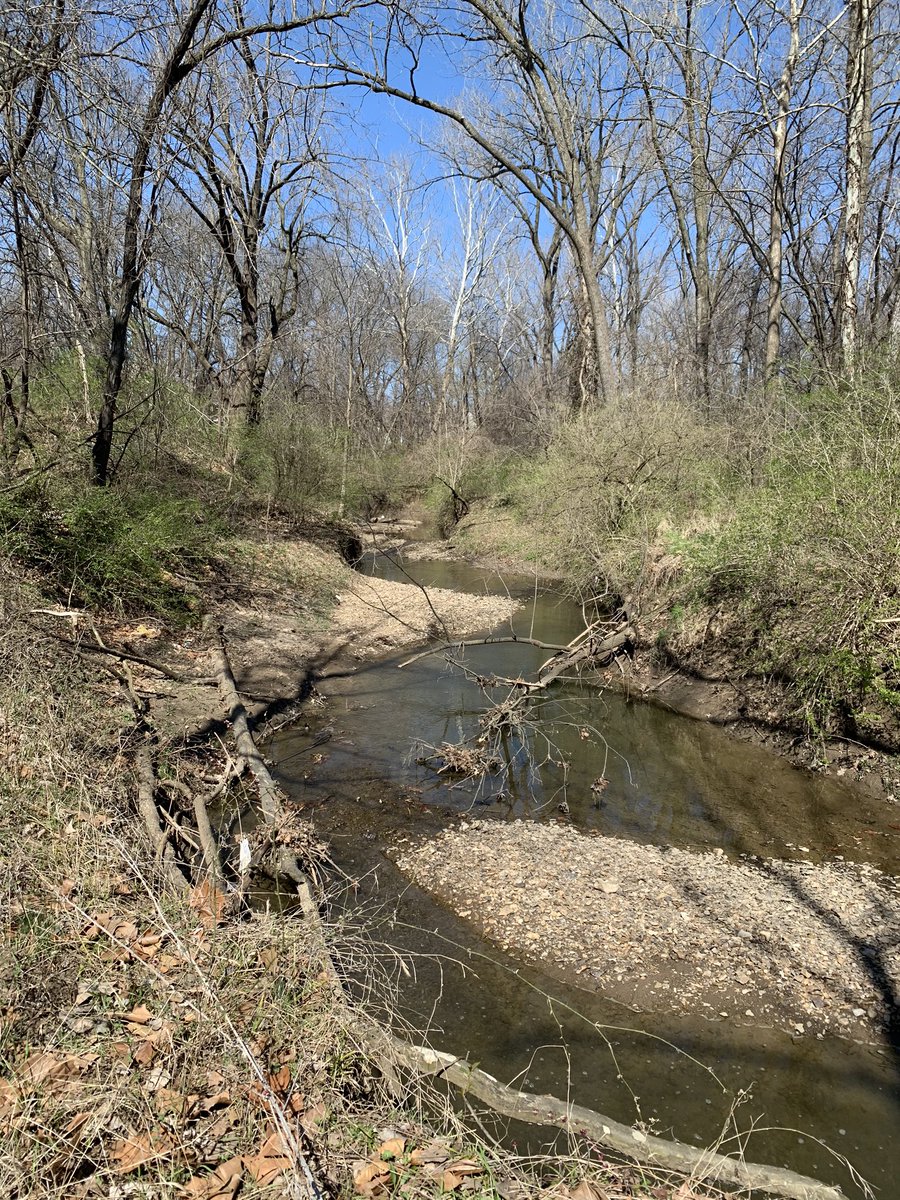 mrsnethsclass's tweet photo. Right now this trail is everything to me! What a beautiful morning to take in the promise of spring! Some worship music, a couple of deer, and my best pal, Bentley. #WithersfieldTrail @LibertyMissouri #increasedhomevalue https://t.co/f3zL0RoZ4U