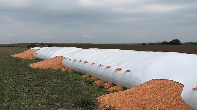 Ver imagen en Twitter