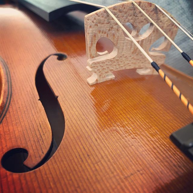 Maker #3 in our new maker series is studio_piasentini This wonderful violin sounds as good as it looks! #violin #newmakers #luthier #liutaio #craftsmanship #quarantine #isolation