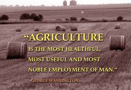 TheProduceBox's tweet photo. Farmers are resilient. With members like you buying local, we will all get through these hard time together. ❤️️

#theproducebox #growingtogether #eatlocalnc #ncproducedelivery #supportlocalnc #thankafarmer #knowyourfarmer #gottobenc https://t.co/2pQyTSi1s3