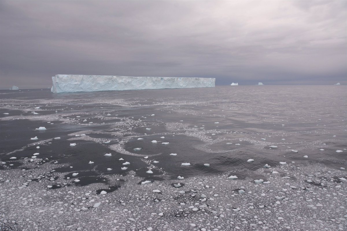 CareShareSmile's tweet photo. @AntarcticReport @NASA #A68 is such a vast iceberg reminding us how small we are! Here are couple of photos taken from @Hurtigruten #MSMidnatsol as we sailed past in Feb 2020 🌊🧊🌊 https://t.co/joQKrNf0GB