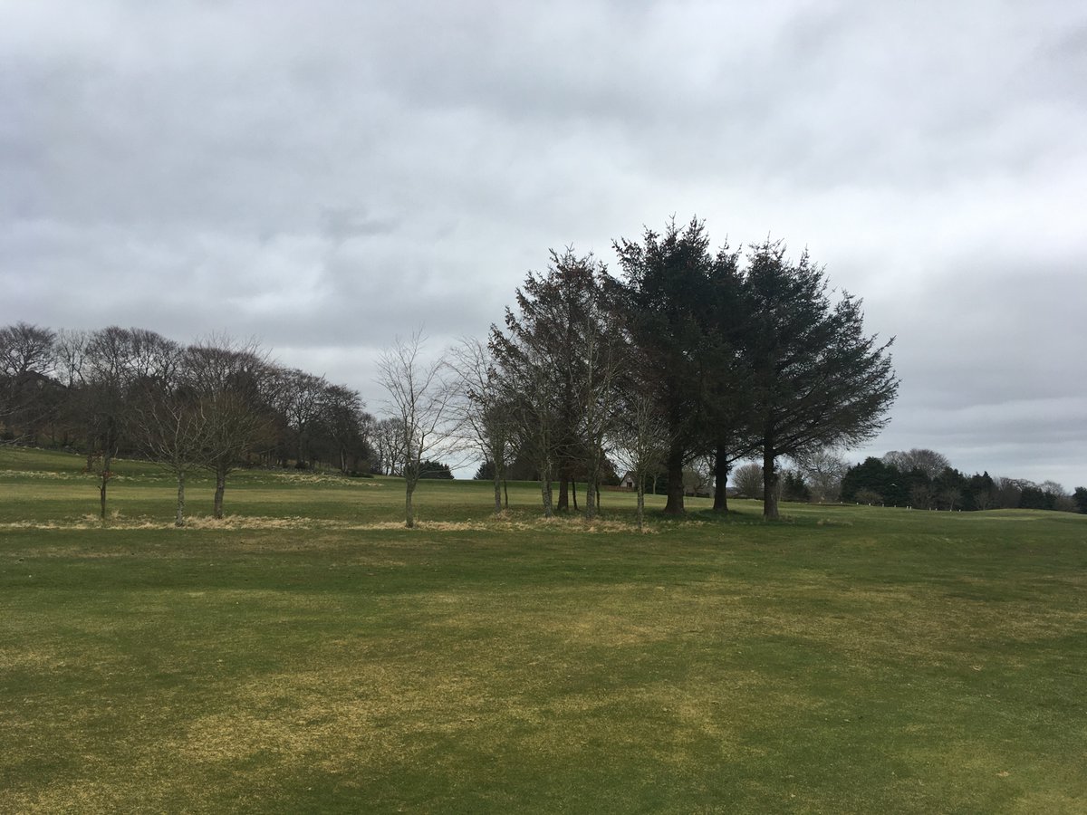 KateRiddel1's tweet image. Never have I felt so blessed to be living in #Aberdeenshire and have lovely open spaces right on my doorstep. This golf course gave me some much needed solitude this evening - and I saw a deer!
#SocialDistancinguk 
#WhatsInYourToolkit