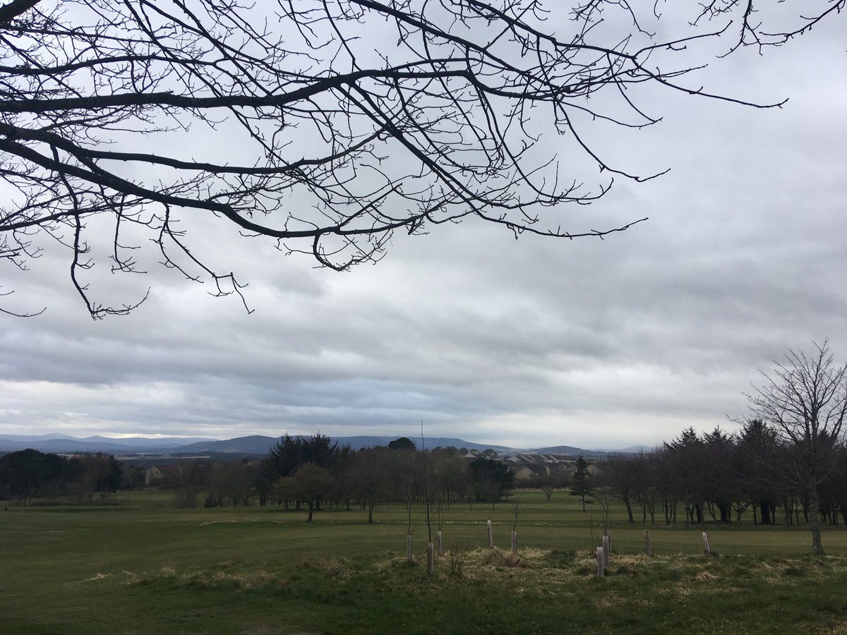 KateRiddel1's tweet image. Never have I felt so blessed to be living in #Aberdeenshire and have lovely open spaces right on my doorstep. This golf course gave me some much needed solitude this evening - and I saw a deer!
#SocialDistancinguk 
#WhatsInYourToolkit
