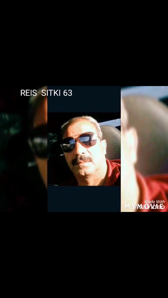 sıtkı ışık tweet media