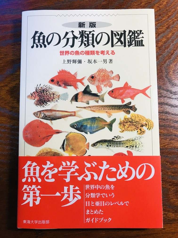 世界最速のパンダ 新版 魚の分類の図鑑 東海大学出版部 はぁ この魚とこの魚は同じ分類群だったのか という発見がたのしい 脊椎動物の中でも最大グループのスズキ目は置いといて サンマとメダカとトビウオとサヨリが同じダツ目だったとは