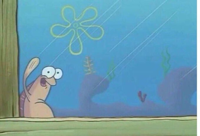 🅲🅴🅳🅳🅾 🕵️ tweet media