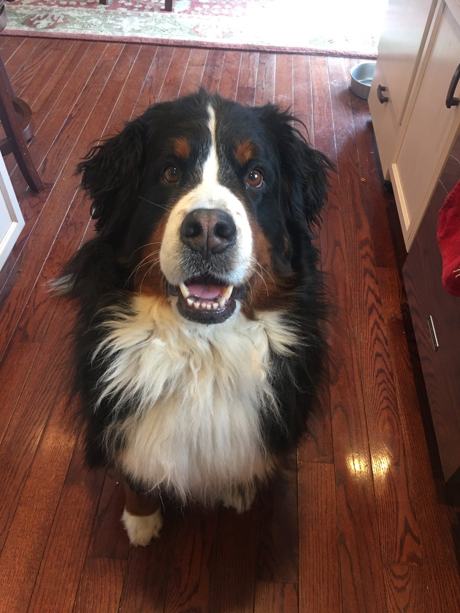 Scout Orr tweet media