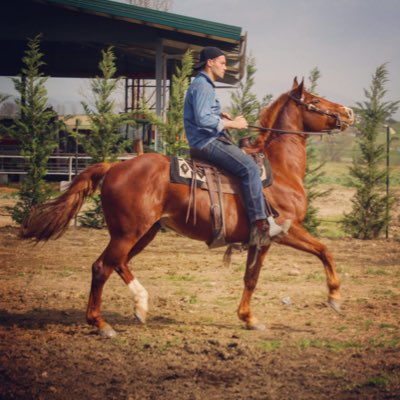 CarloBolli's tweet photo. #NuovaFotoProfilo https://t.co/2k08eG06yW