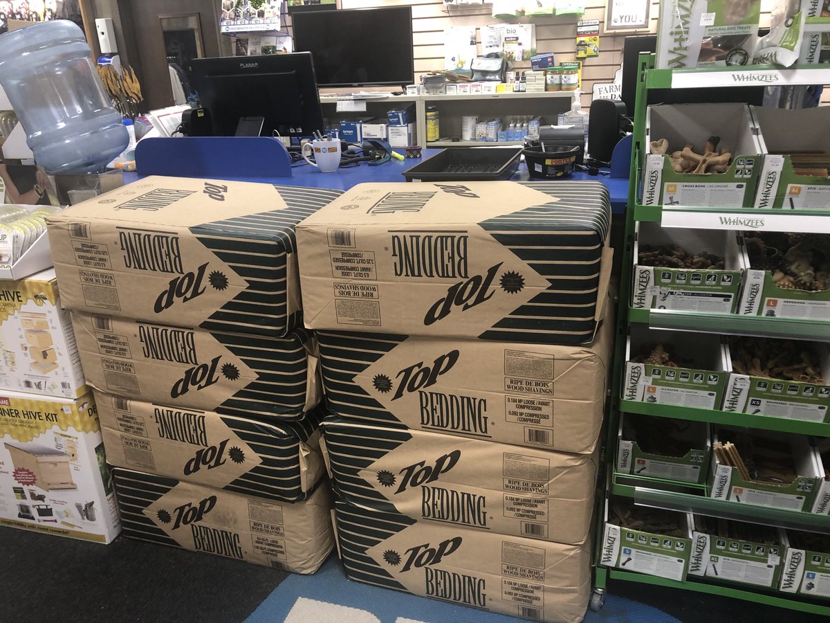 Brigitte Ruthman tweet media