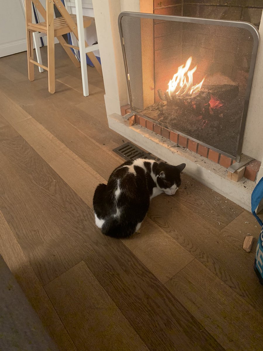 MavericKat's tweet photo. le #confinement a du bon quand même. #Confinementjour12 https://t.co/z9Wzkt6r5g