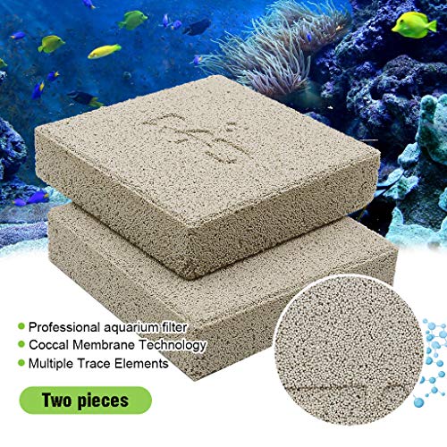 amzn_deals_us's tweet photo. https://t.co/JqarHBMZtc boxtech Aquarium Filter Media, Ceramic Biological Filter Media for Marine and Freshwater Fish Tank #Amazon #Deal #boxtechAquariumFilterMedia #BOXTECH https://t.co/tncVB72hOX