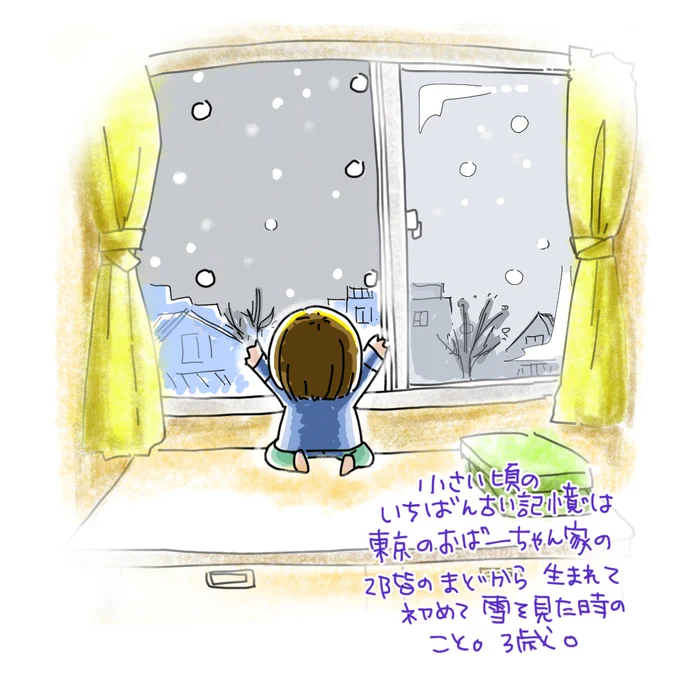 小さい頃の一番古い記憶は、雪の記憶。
沖縄から、東京のおばーちゃん家に遊びに行った時、2階の窓から、生まれて初めての雪を見た時のこと。3歳になったばかりの頃のことなんだけど、今も鮮明に覚えている。ビックリして、わくわくして、なんかすごかった。 