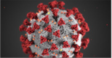 Saman Nematollahi tweet media