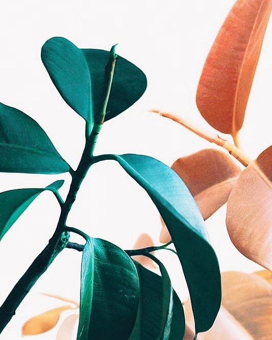 The grand lines of nature #currentmood