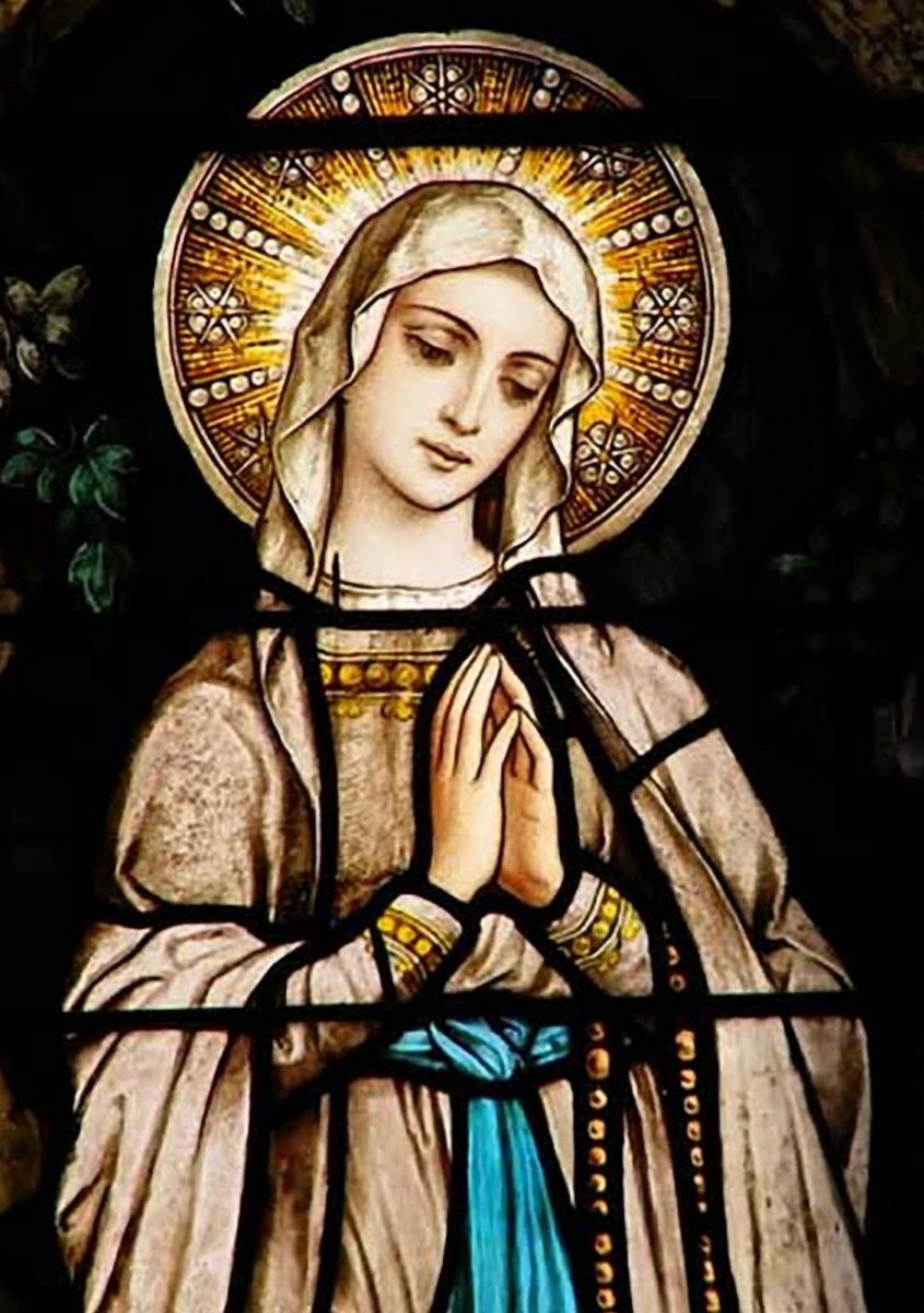 O ever immaculate Virgin, Mother of mercy, health of the sick, refuge of sinners, comfort of the afflicted, you know my wants, my troubles, my sufferings; deign to cast upon me a look of mercy. #PraytoEndCoronavirus #PrayTogether