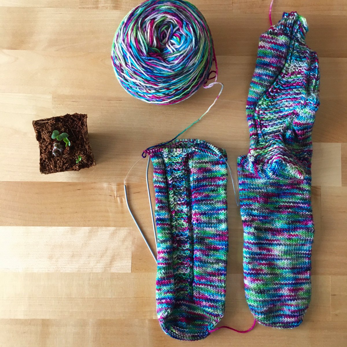 knitmastery's tweet photo. Sunday round-up. You would think lockdown might result in more knitting process than normal... not so much. Little bit of progress on my Fleet Feet socks by Fatimah Hinds using Rusty Ferret yarn (and radish progress too!). 1/? https://t.co/PpNLGOPVyv