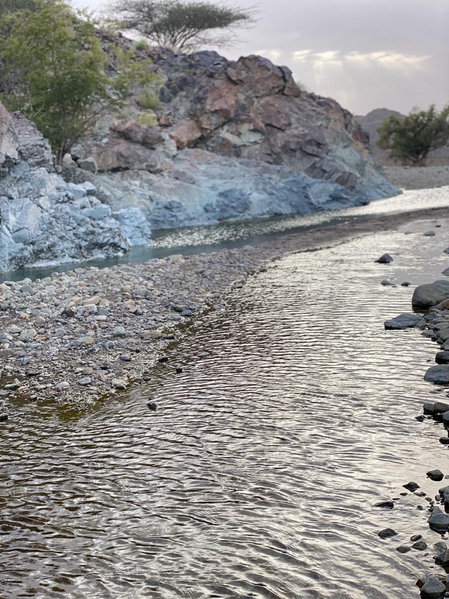 مساء الخير من هذا المكان الجميل🥺💕.