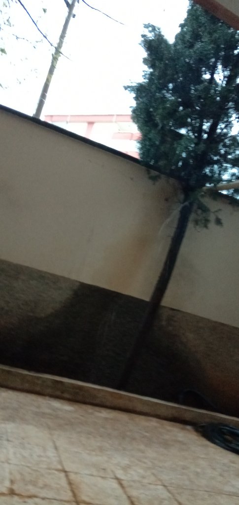 thesemihg's tweet photo. Yağmurun tadını çıkarın yazın 60° görücez gibi https://t.co/ckBsqj4Itd