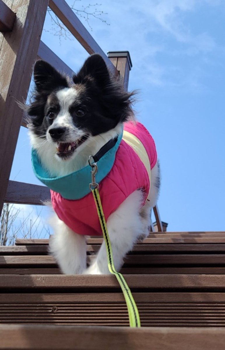 개마고원 화전민 (@ahs2352) on Twitter photo 