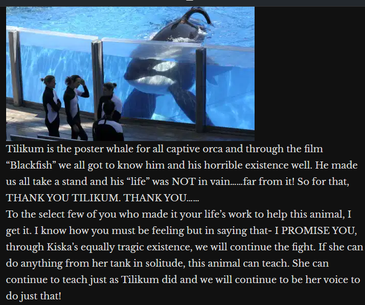 OrcaSOS's tweet photo. "through Kiska’s equally tragic existence, we will continue the fight. If she can do anything from her tank in solitude, this animal can teach. She can continue to teach just as Tilikum did and we will continue to be her voice to do just that!"
#FreeKISKA #blackfish #LetTheGirlGo https://t.co/XvXBNKlcpz