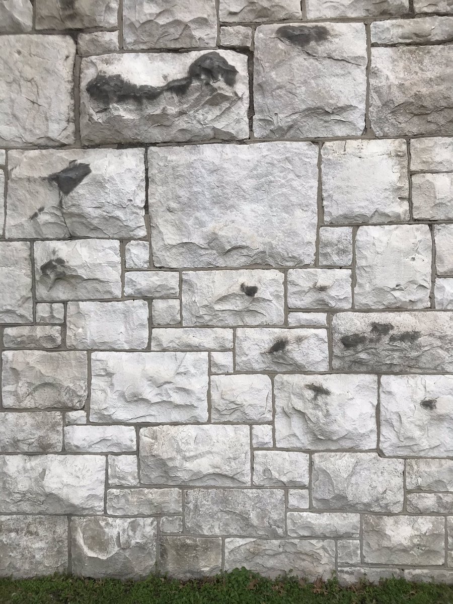 James Coleman tweet media