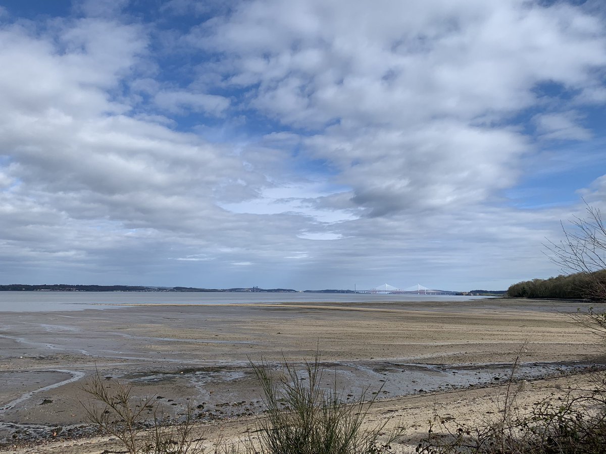 patie85's tweet photo. @WindyWilson88 #boness #calmAF #dailywalk https://t.co/x2POwBslmU