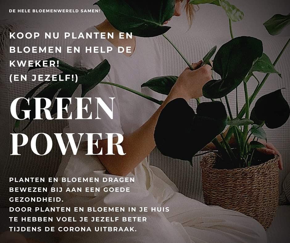#planten zorgen voor een gezonde #werkplek , zeker nu die plek #thuis is. 
Laat je adviseren door een echte specialist 
<a href="/peter_manders/">PMB</a> in #Lemmer #Fryslân 
Volop keus bij de #bloemist 
 #bloemen #flowersforlife #bloemenbezorgen #flowers4oxygen #gezond #greenpower