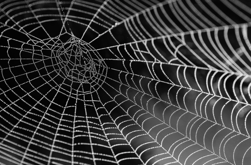 effortfuleduktr's tweet photo. Building A Web Of Knowledge

How is learning information like building a spider web? 
Why is this important?

https://t.co/11nYCMsgE5 https://t.co/sLlPK1GwO6