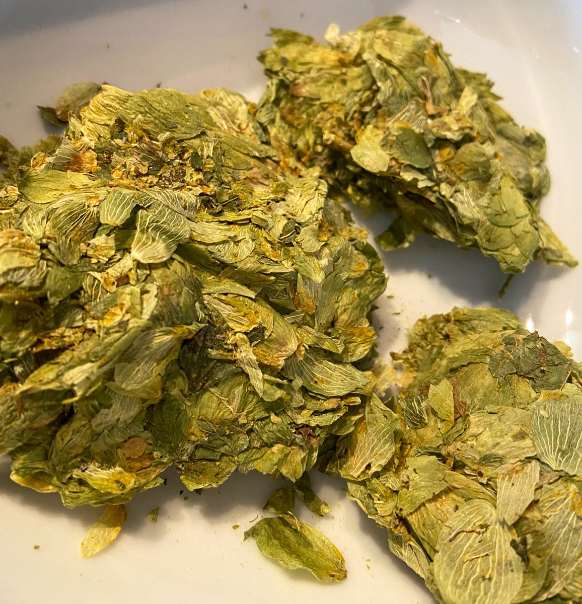 GridBrewing's tweet photo. Magnum as a bittering hop doesn’t overwhelm a beer plus gives a little shove of citrus. Addition @ 30mins. https://t.co/wektV8j7Hw