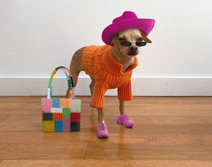 archivedlooks's tweet photo. A fashion icon https://t.co/deZgEIRM9S