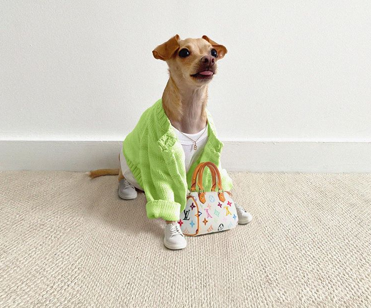 archivedlooks's tweet photo. A fashion icon https://t.co/deZgEIRM9S