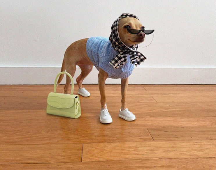 archivedlooks's tweet photo. A fashion icon https://t.co/deZgEIRM9S