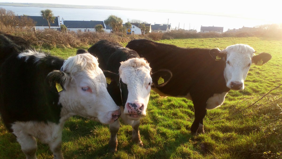 James Windle (@jameswindle461) on Twitter photo 