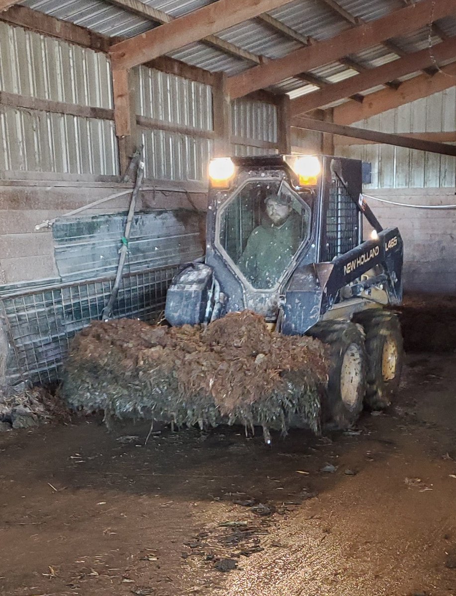 The not so glamorous side of owning livestock. #cleaningday #freshbedding